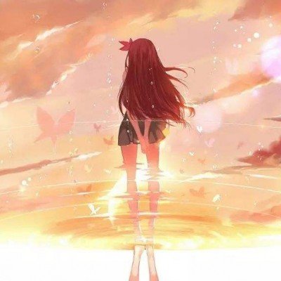 湖南仅剩4只导盲犬
